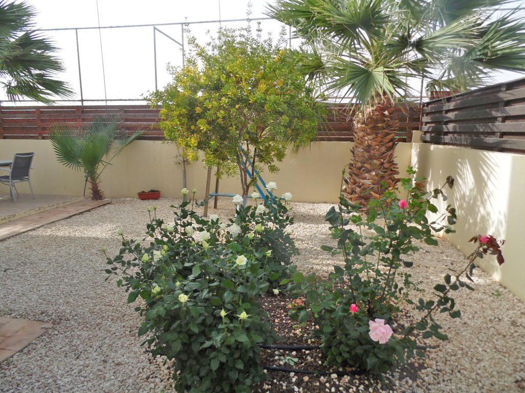 Villa Favor - 3 Bed With Pool Close To Nissi Beach איה נאפה מראה חיצוני תמונה